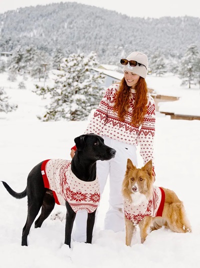 Matching Holiday Sweater Outfits for Dog and Owner 
