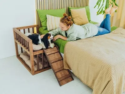 Good Leos Co Raised Dog Bed Platform