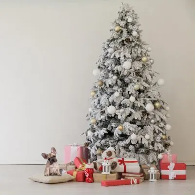 French Bull Dog Puppy with presents next to tree