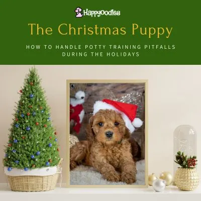 Happyoodles.com - The Christmas Puppy Potty Training Pitfalls TP