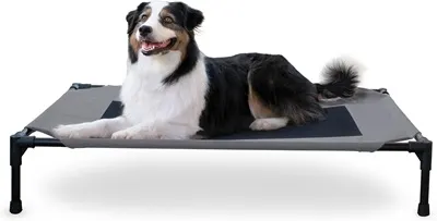 K&H Pet Products Dog Cots Beds for Large Dog- Elevated Outdoor Dog Cot Bed