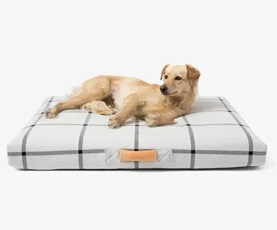 Laylo Orthopedic Dog Bed and Cover with golden laying on top
