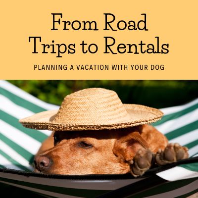 Happyoodles.com - Vacationing with your dog: From Road Trips to Rentals
