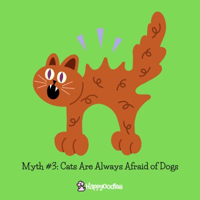 Myth #3: Cats Are Always Afraid of Dogs - graphic image of a scared brown cat on bright green background