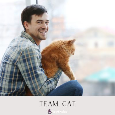 Happyoodles.com - Are you team dog, team cat, or both? Team Cat