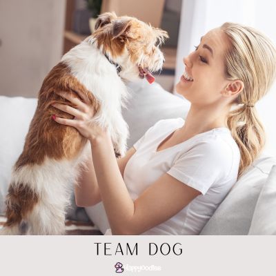 Happyoodles.com - Are you team dog, team cat, or both? Team dog