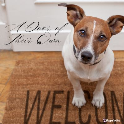 a Door of their own - Happyoodles.com