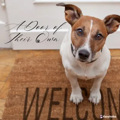 a Door of their own - Happyoodles.com