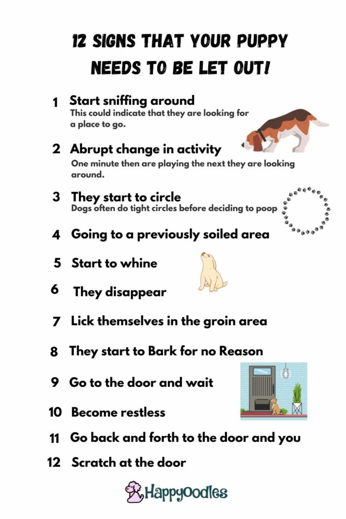 12 Signs That Your Puppy needs to be let out. Potty training Mistakes