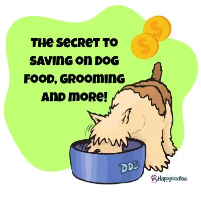 The Secret to Saving on Dog Food, Grooming and More - Dog eating from a bowl with green background and $ coins.