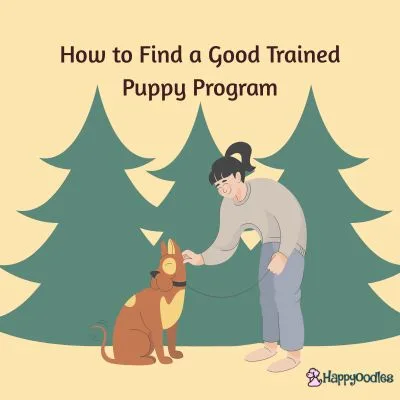 Happyoodles.com Christmas Puppy Playbook - How to Find a Good Trained Puppy Program