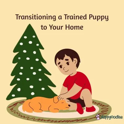Happyoodles.com Christmas Puppy Playbook - Transitioning a Trained Puppy to Your Home - Graphic image of boy with dog on rug with tree