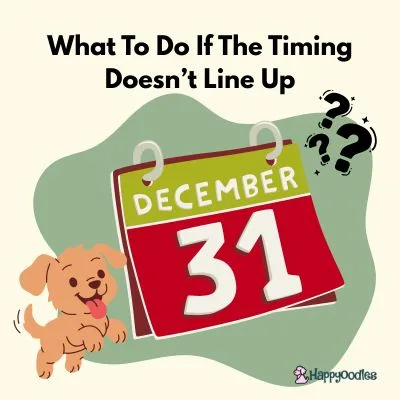 Happyoodles.com Chrsitmas Puppy Playbook - What To Do If The Timing Doesn&rsquo;t Line Up