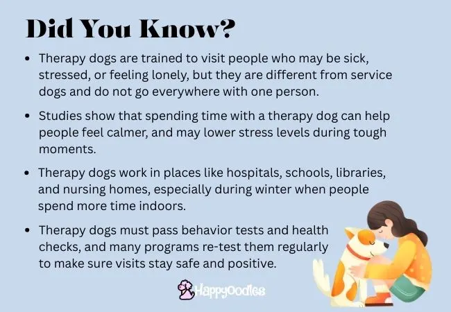 Happyoodles.com-When Winter Comes Dogs Go To Work - Therapy Dog Facts