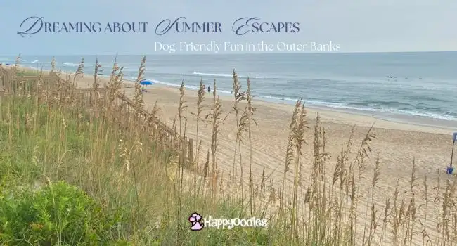 Dreaming of Summer Escapes -Dog Friendly travel - pic of the beach in NC