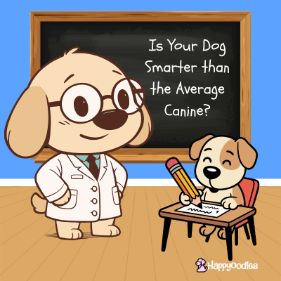 Is Your Dog Smarter Then the Average Canine - dog in professor coat along with young dog at a school desk.